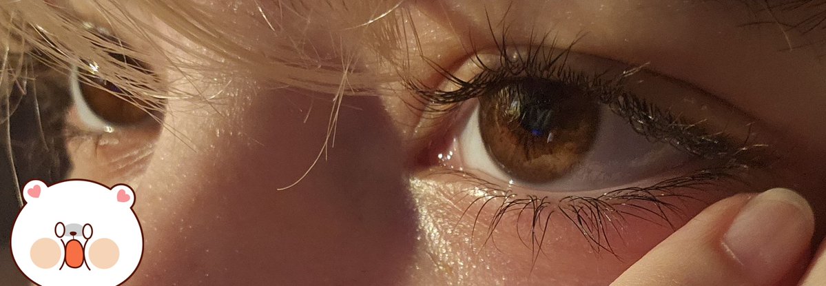 bernardo tweet media