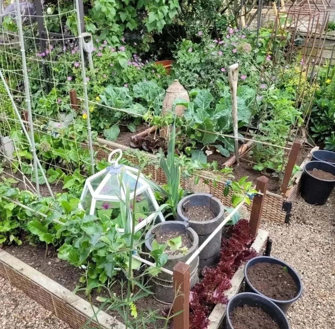 Darren Lakin tweet media