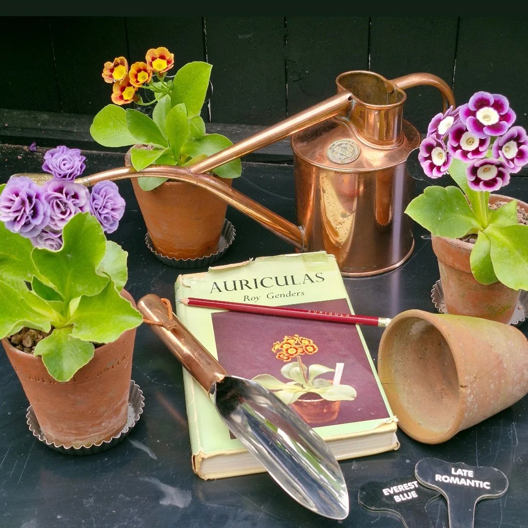 Darren Lakin tweet media