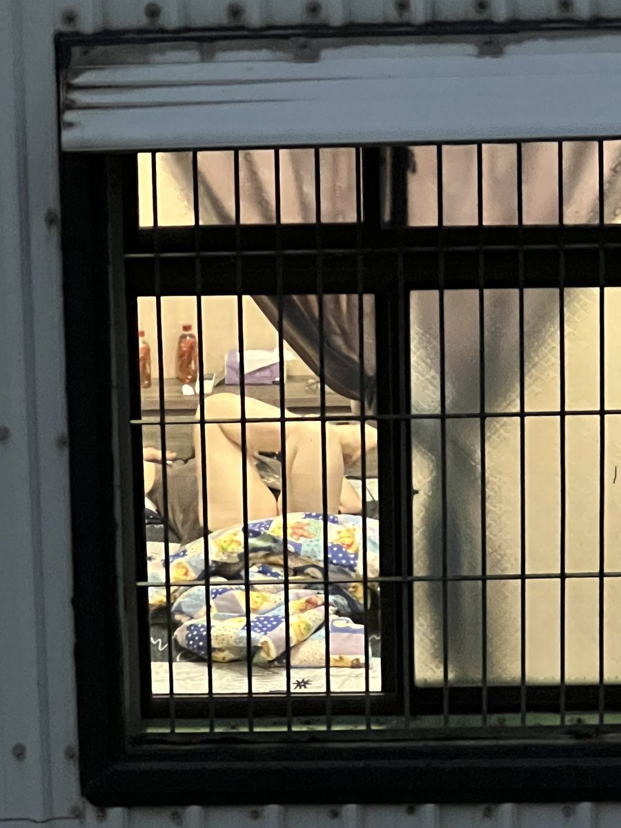 屏東NTR人夫 tweet media