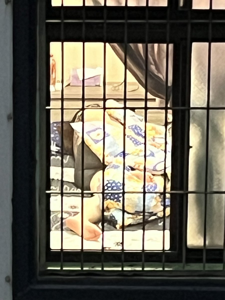 屏東NTR人夫 tweet media