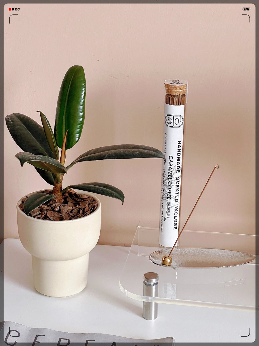 Dan Ryan tweet media