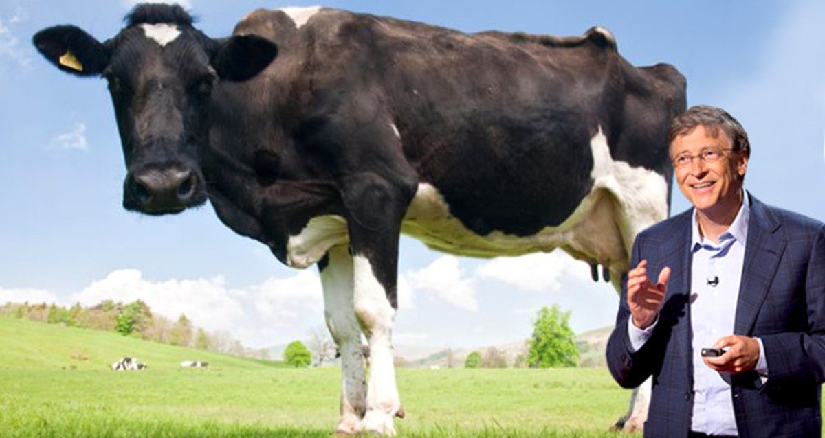 Anlık Haber Analiz tweet media