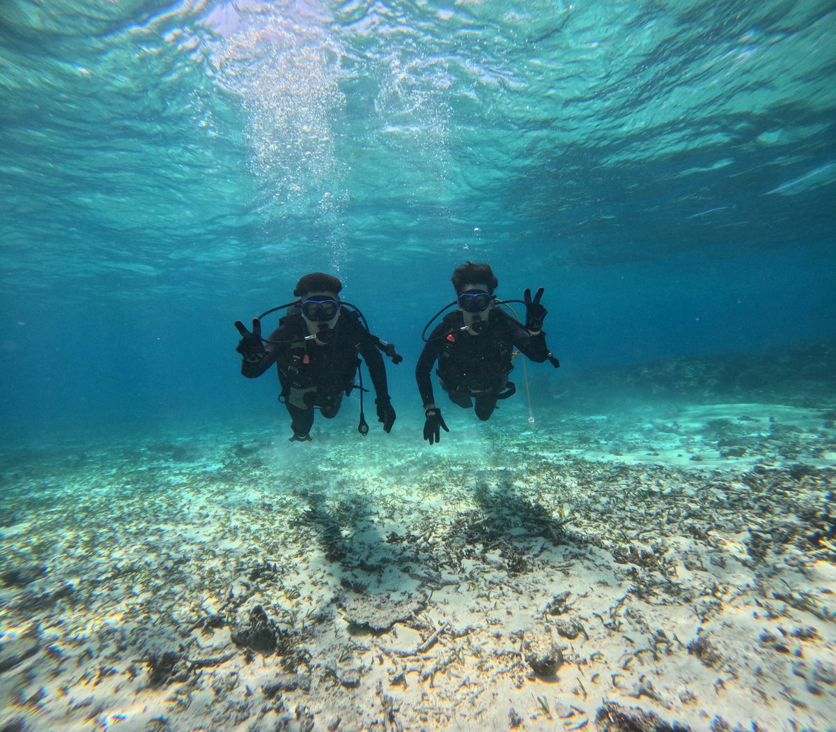 海の中めちゃ綺麗🤿🤩