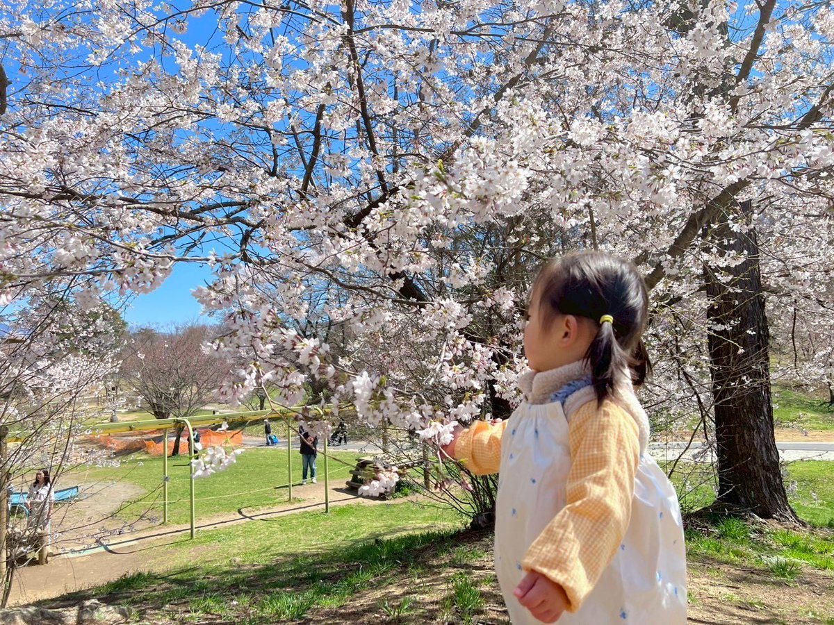 ひなた🐶 tweet media