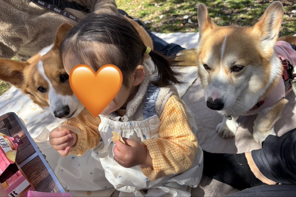 ひなた🐶 tweet media