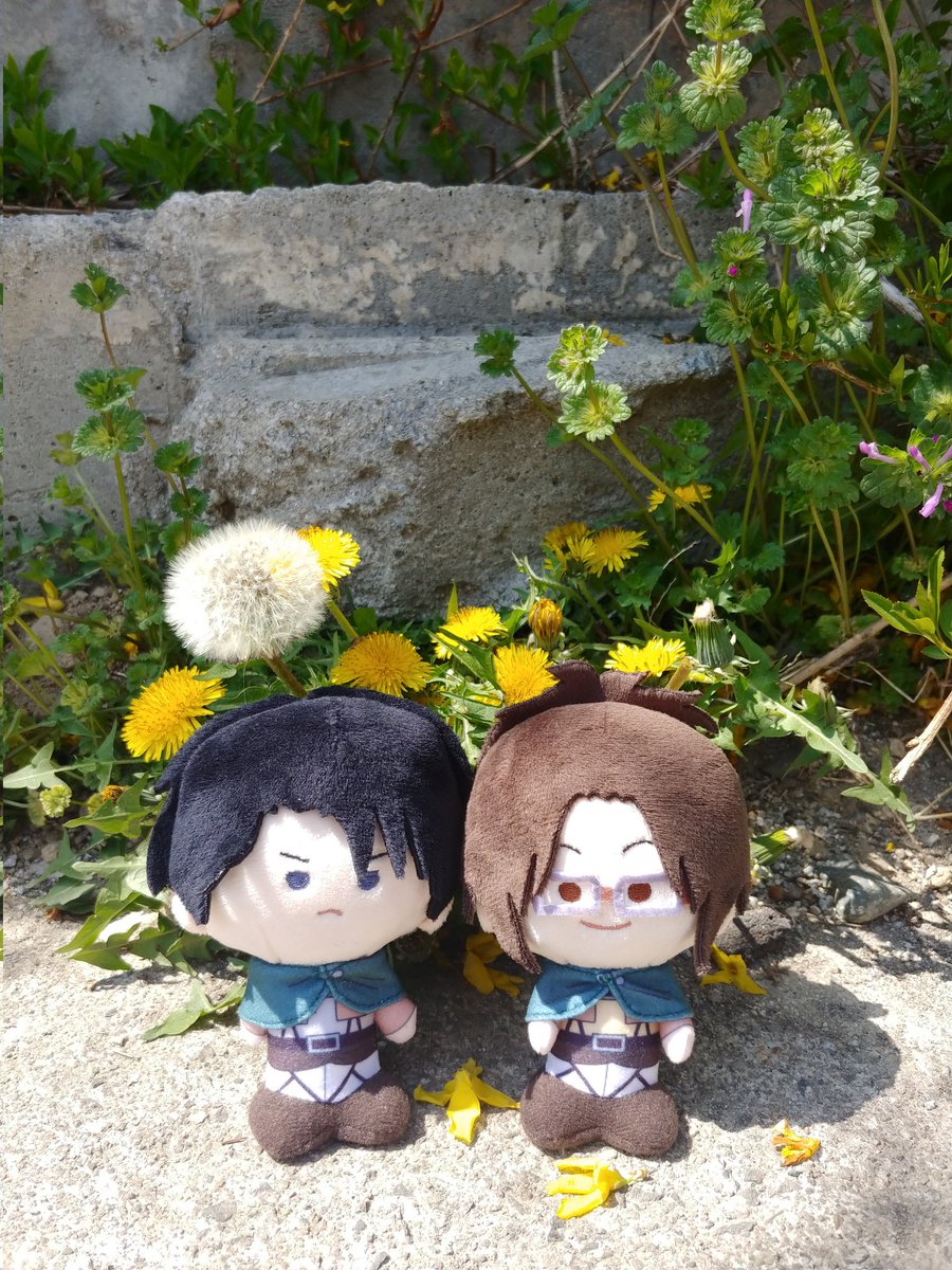 🌲코락 tweet media