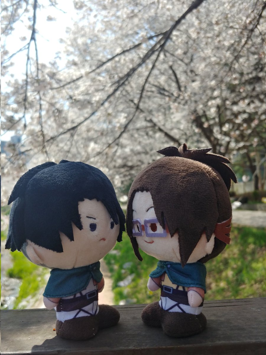 🌲코락 tweet media