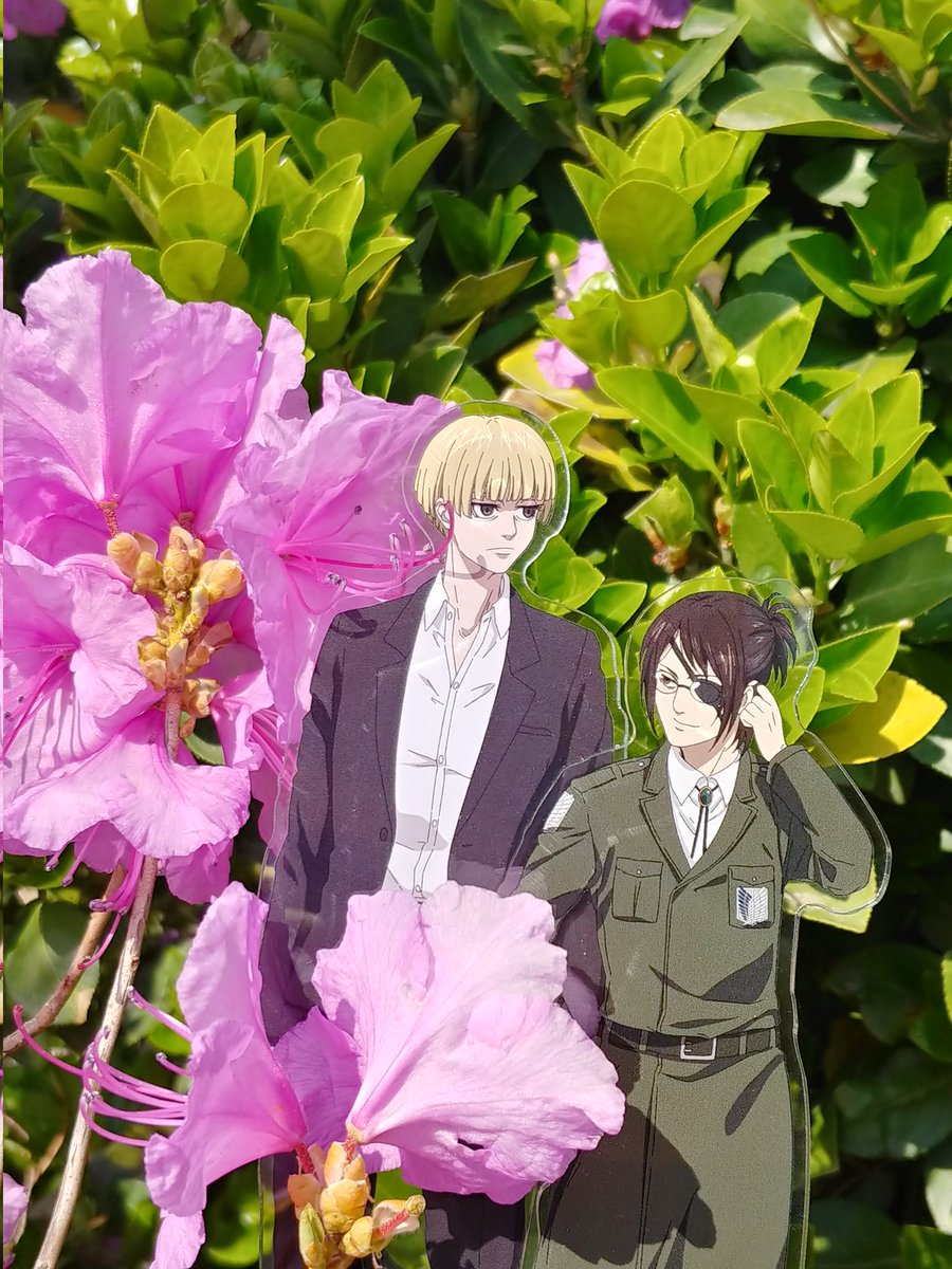 🌲코락 tweet media