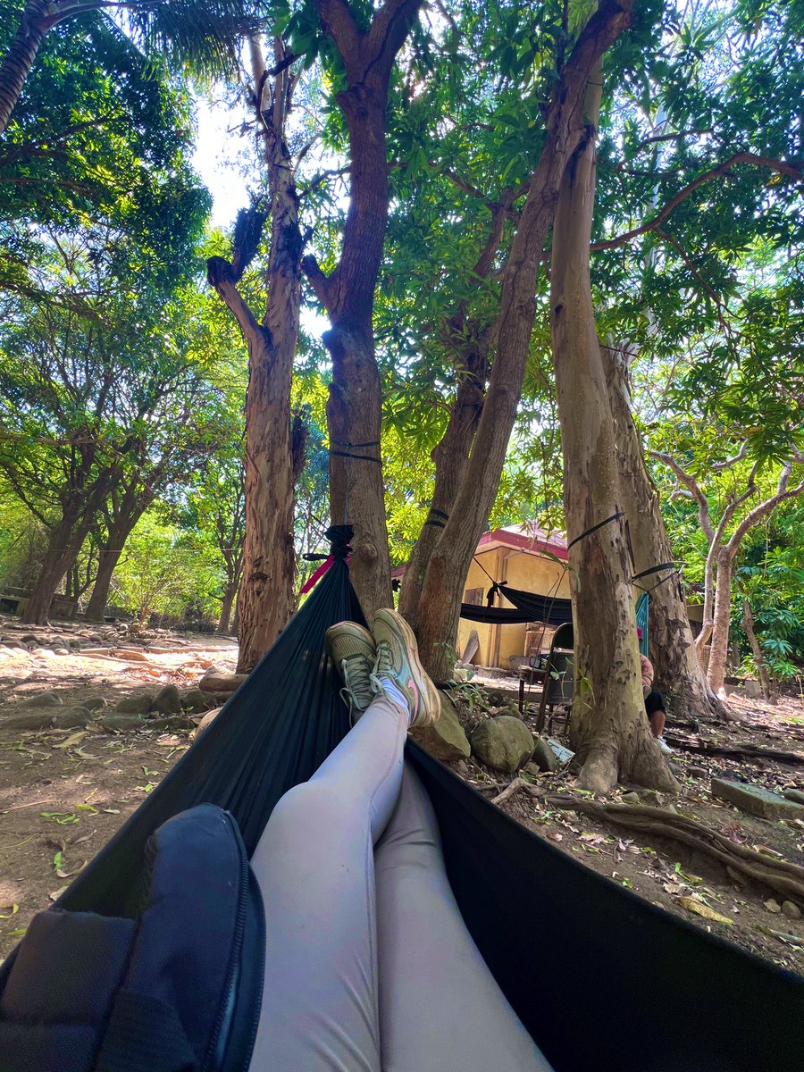 CrypThine Go (❖,❖) tweet media