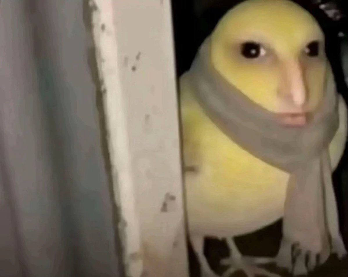 ella | sevEN- tweet media