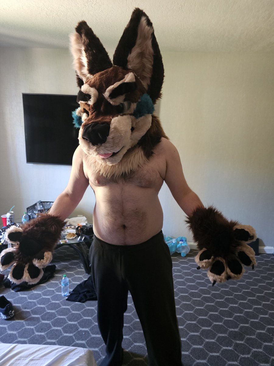 Reval @ IBERCON tweet media