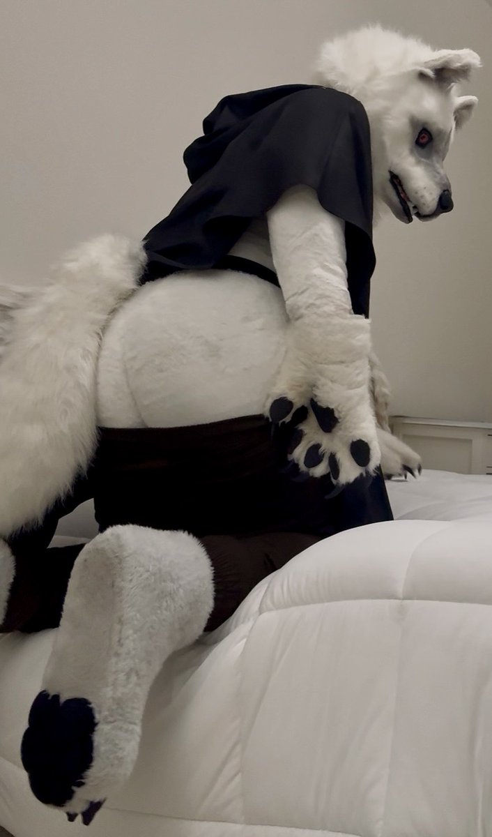 💀 Death Wolf 🐺 tweet media