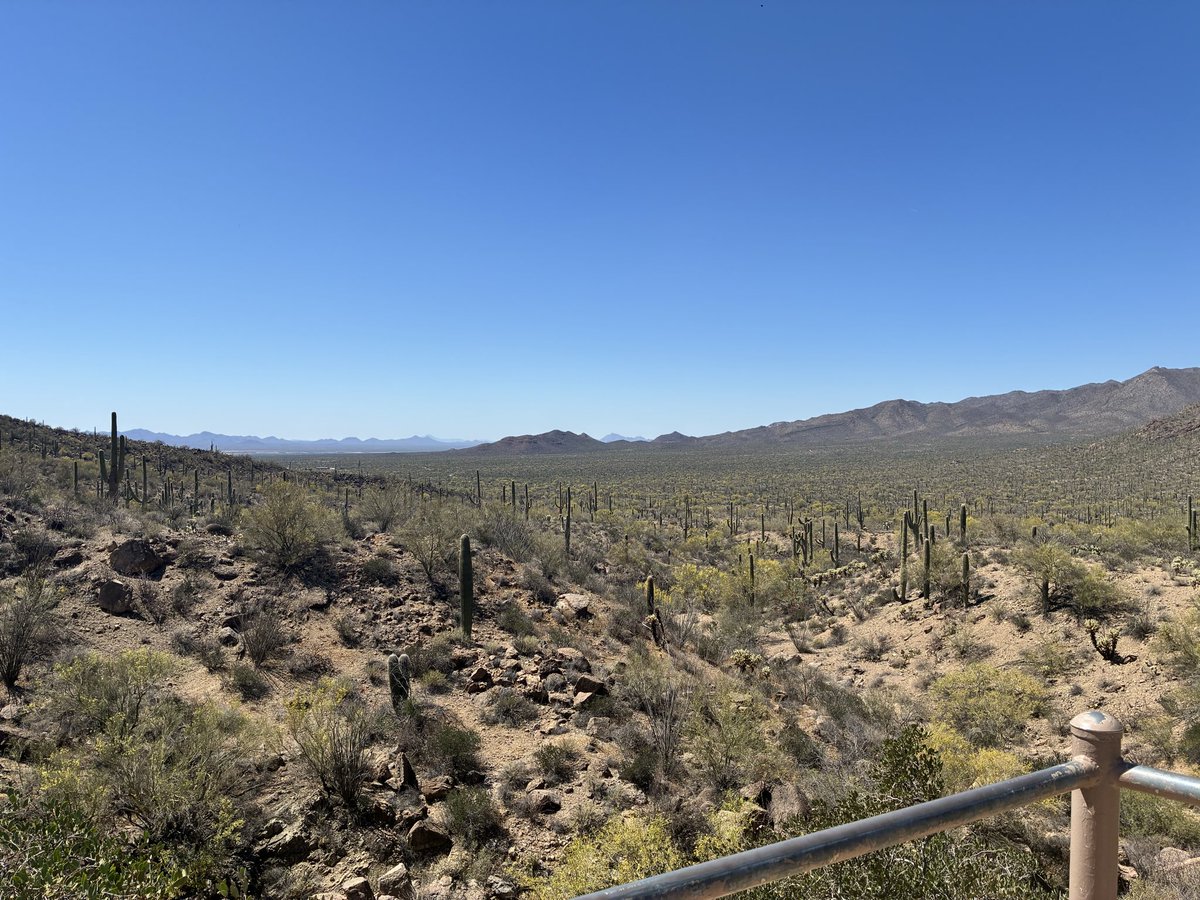 The Cosmopolitan Patriot tweet media