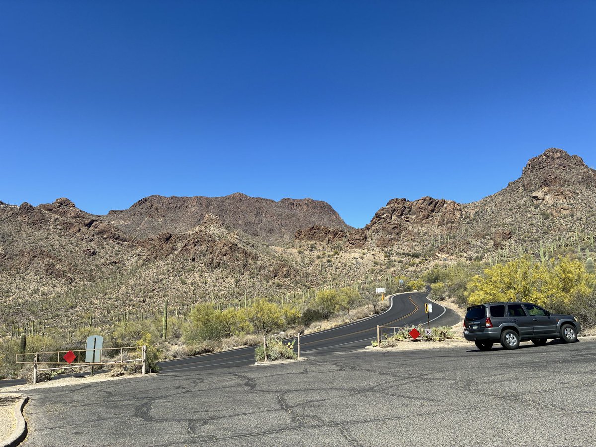 The Cosmopolitan Patriot tweet media