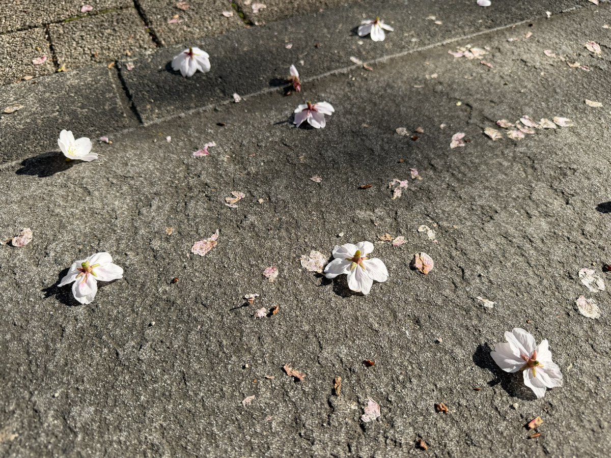 上野動物園［公式］ tweet media