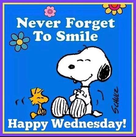 snoopy and friends tweet media