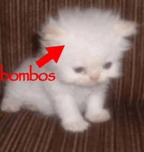 Sait Faik Ablası Bana Yanık tweet media