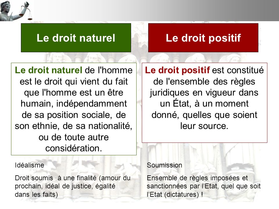 Françoise Zannier tweet media