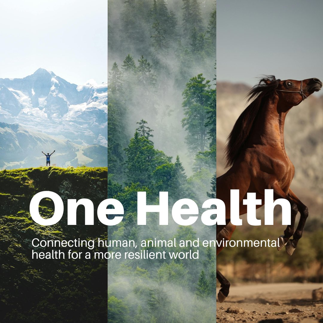 UN Environment Programme tweet media