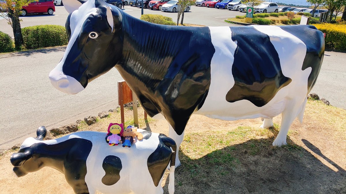 ノリコ tweet media