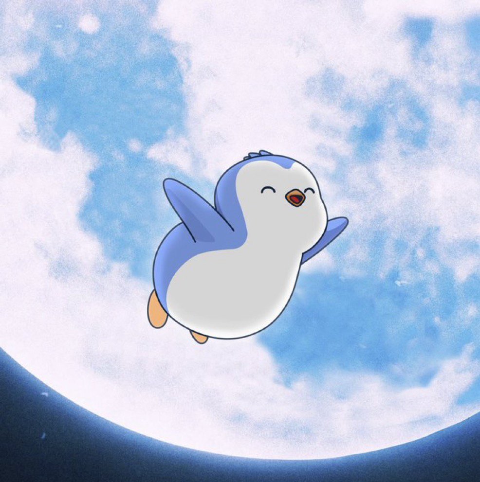 Abhi | AP Collective tweet media