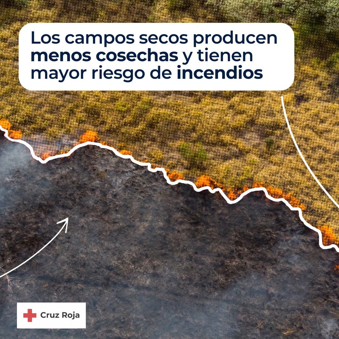 Cruz Roja en Segovia tweet media