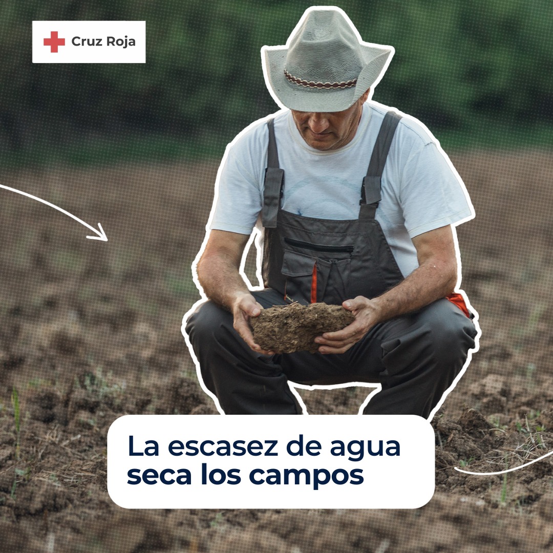 Cruz Roja en Segovia tweet media