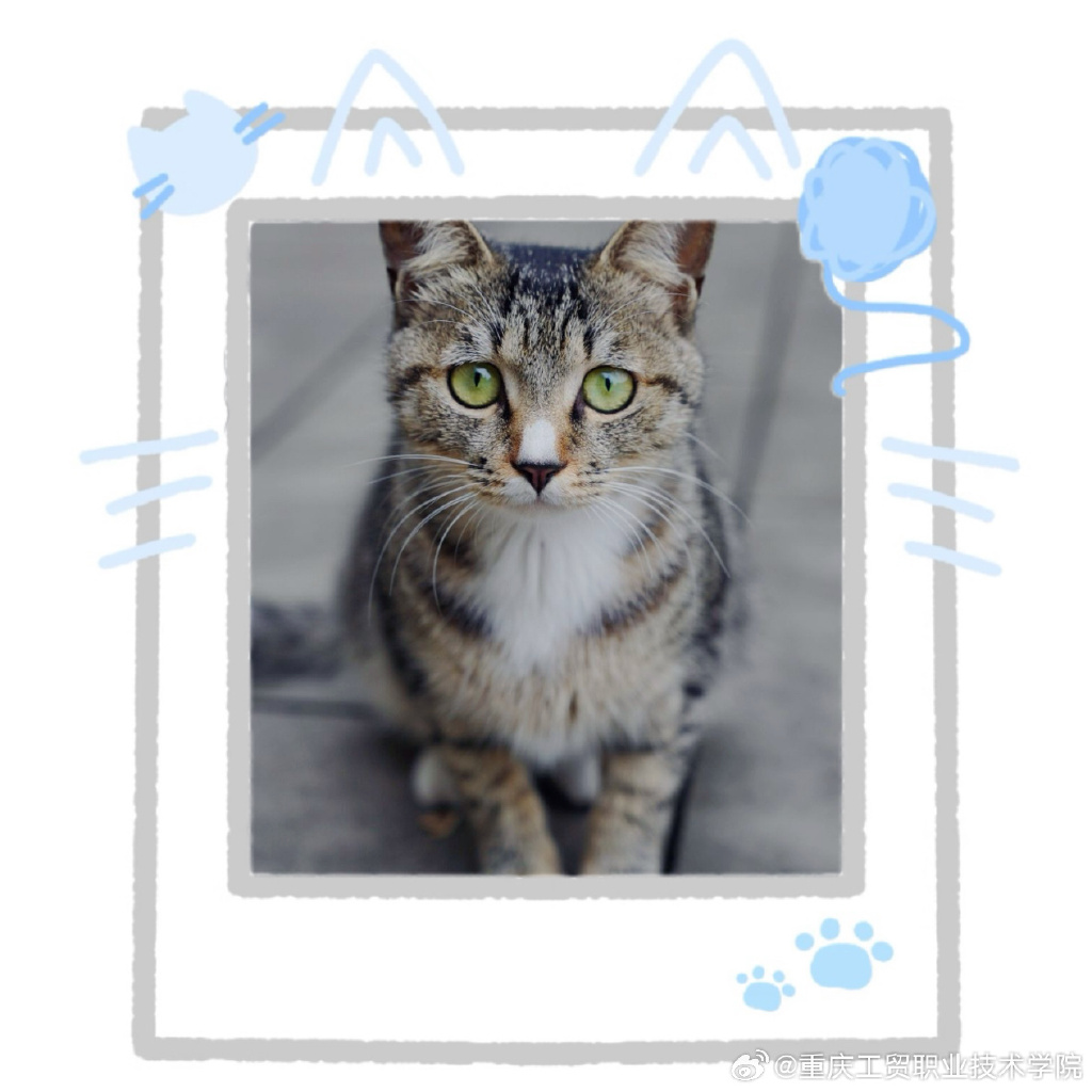 Jean-Marc Europa tweet media