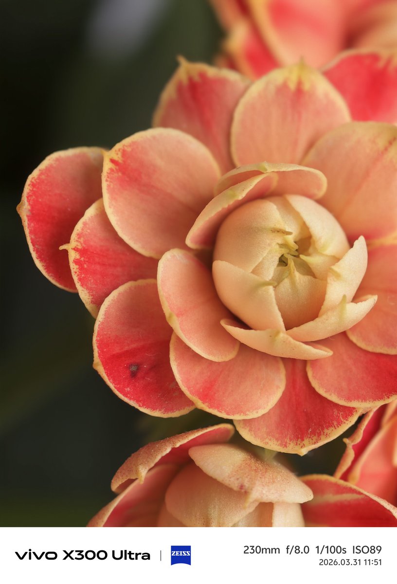 Ice Universe tweet media