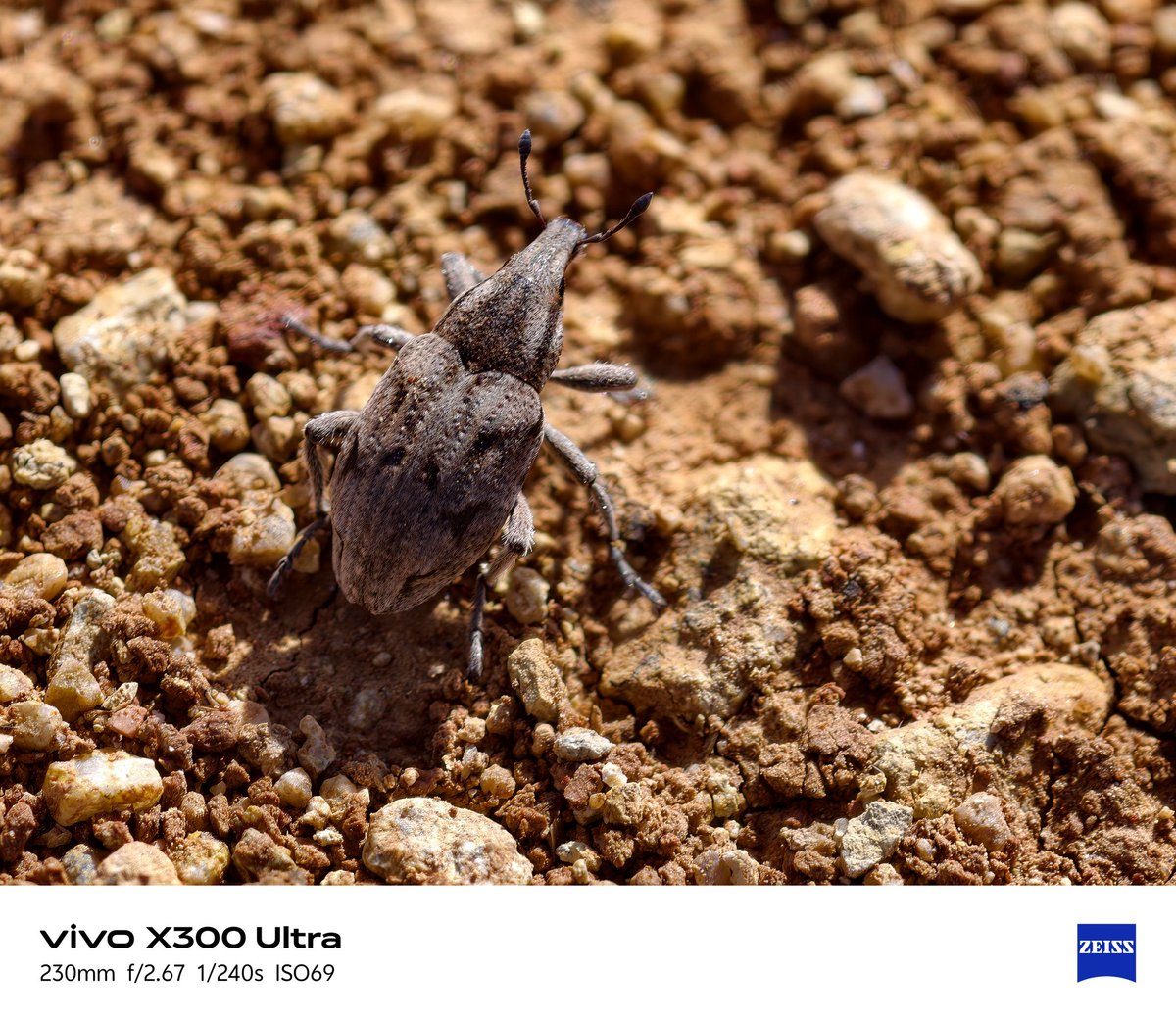 Ice Universe tweet media