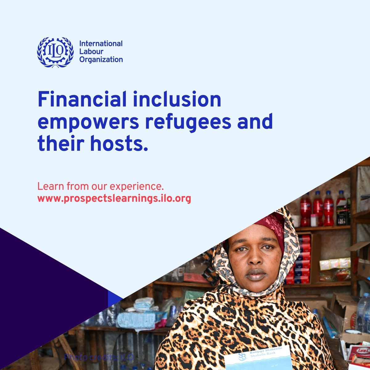 ILO Prospects tweet media