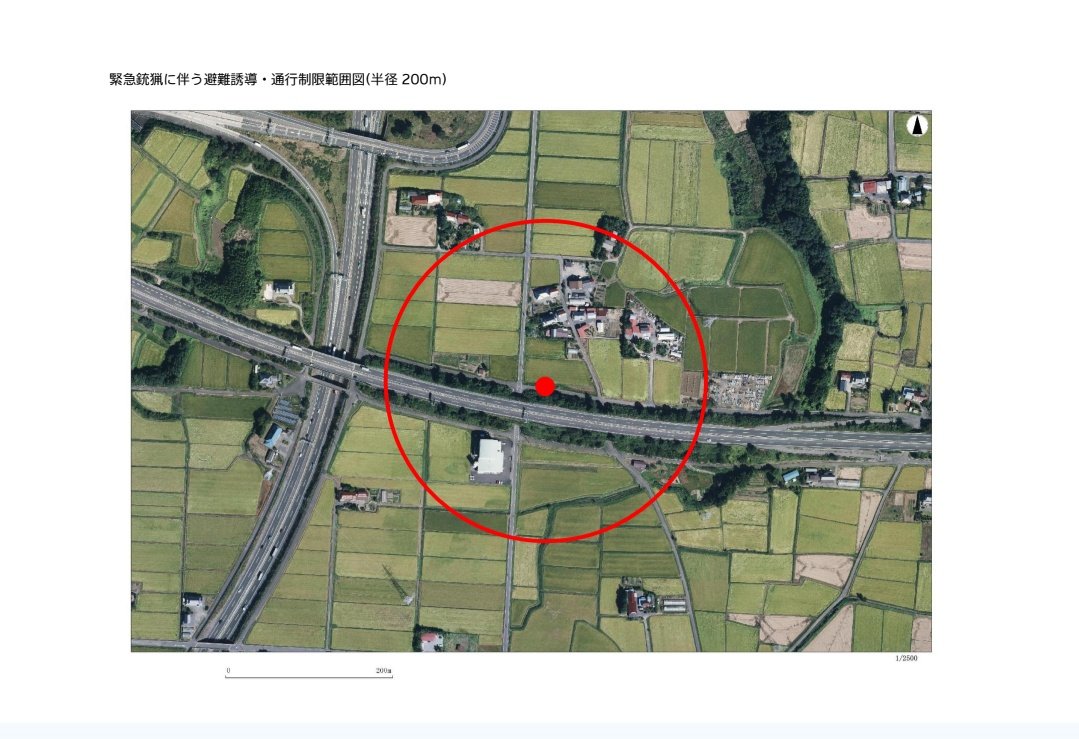 🌗100本🌗 tweet media