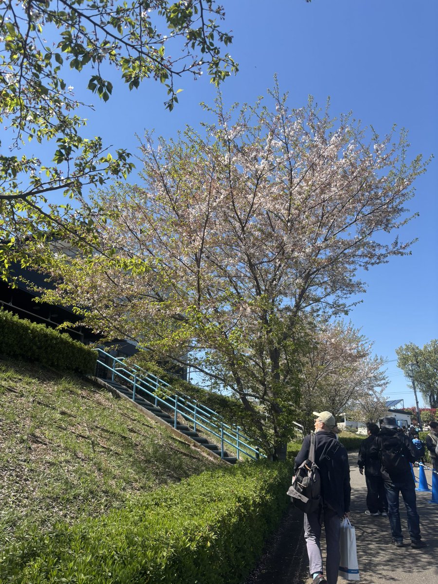 小森すみ恵 tweet media