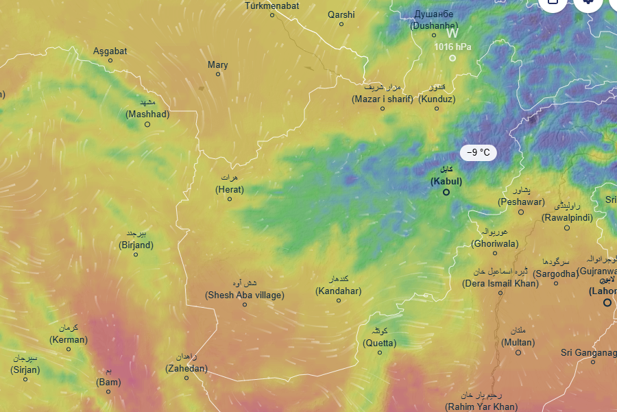 Robert Cichowlas tweet media