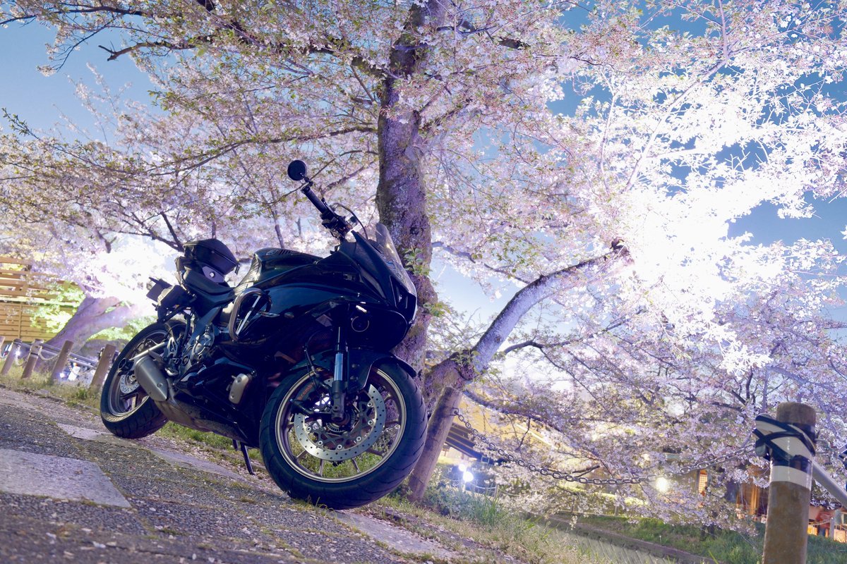 あおだ tweet media