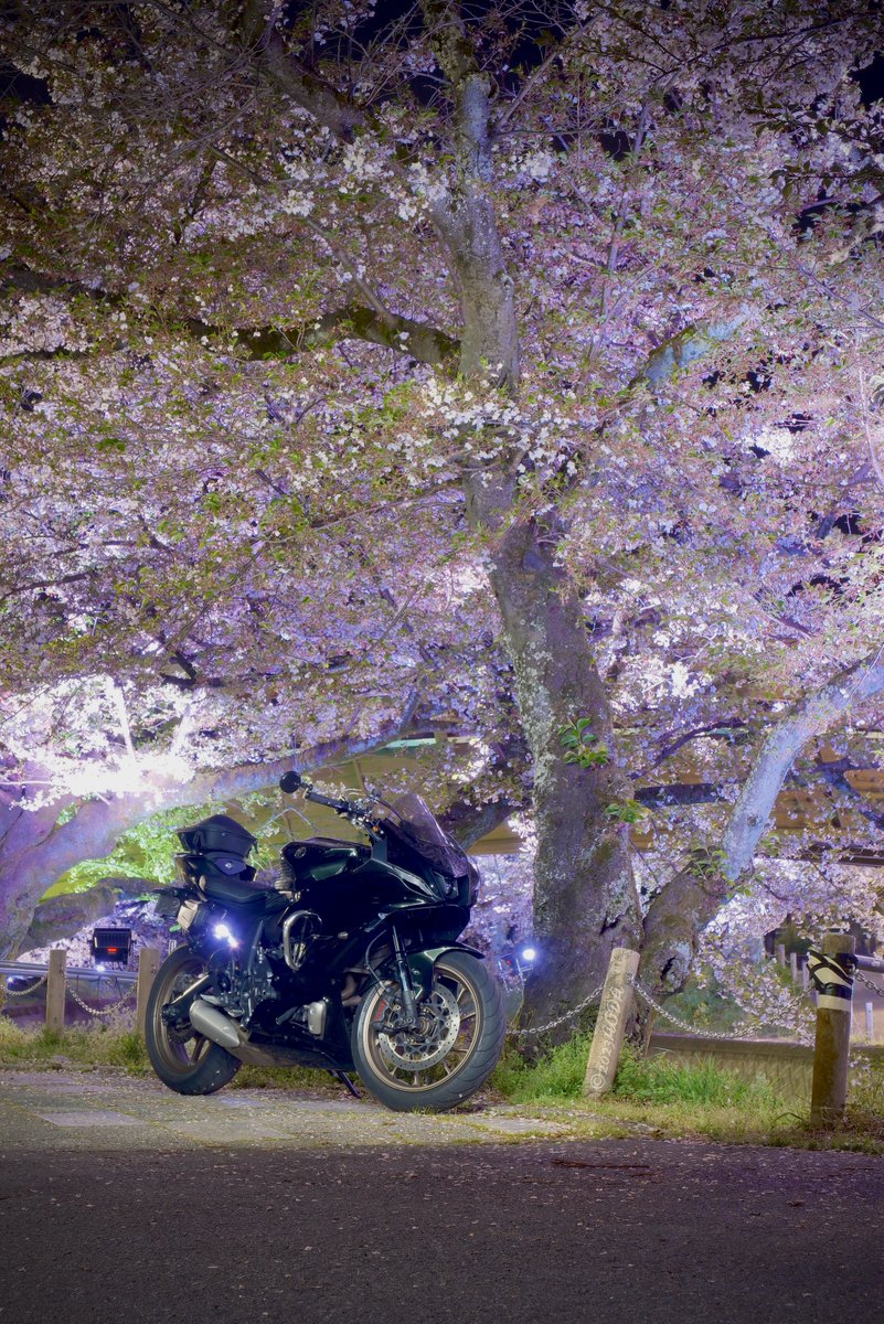 あおだ tweet media