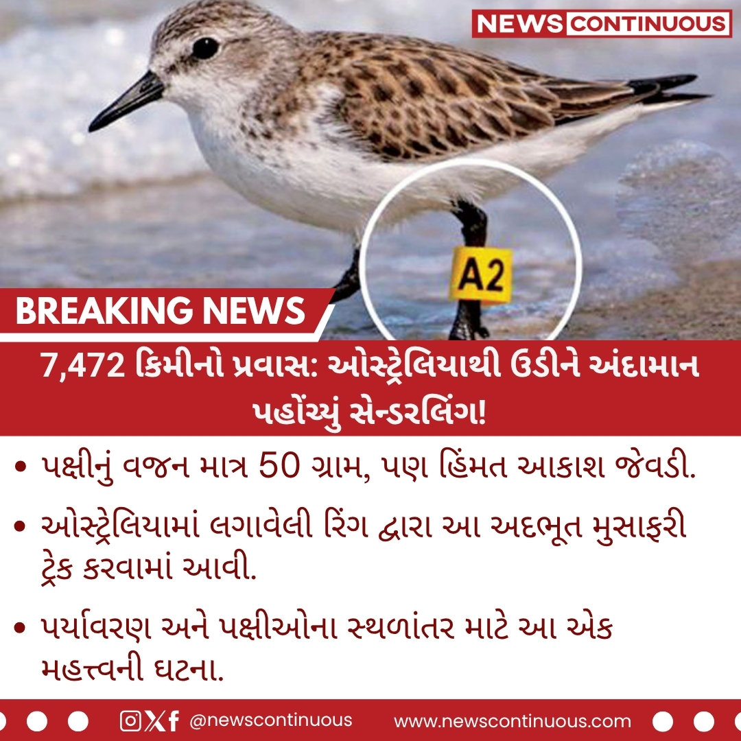 news continuous tweet media