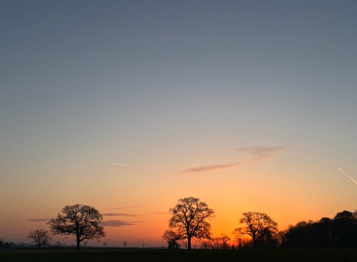 DevilMayCare tweet media