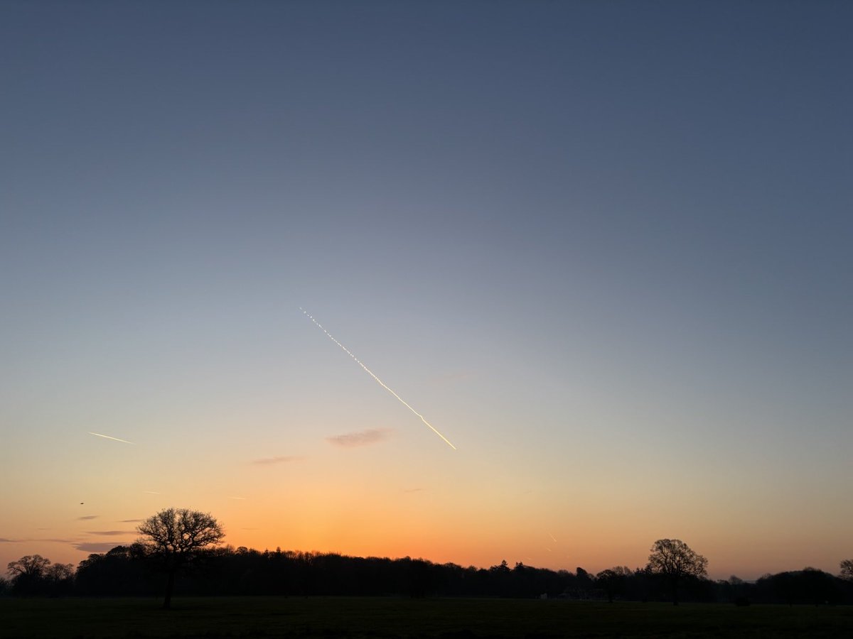 DevilMayCare tweet media