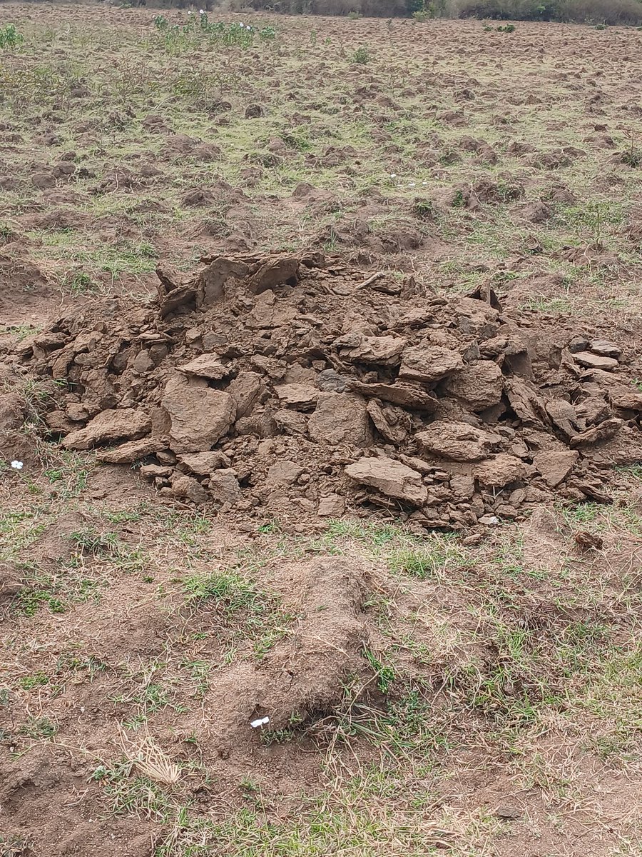 Juma Wickama tweet media