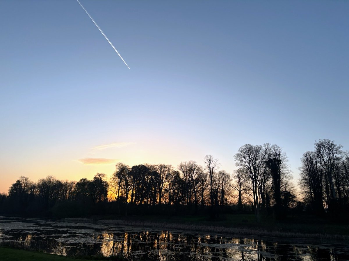 DevilMayCare tweet media