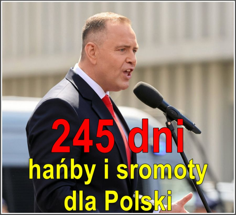 reina #CSB 🇪🇺 tweet media