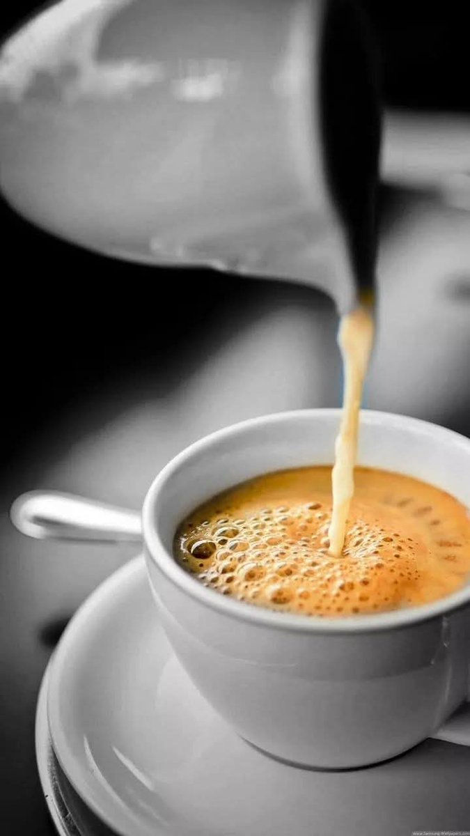 Metropolitan tweet media