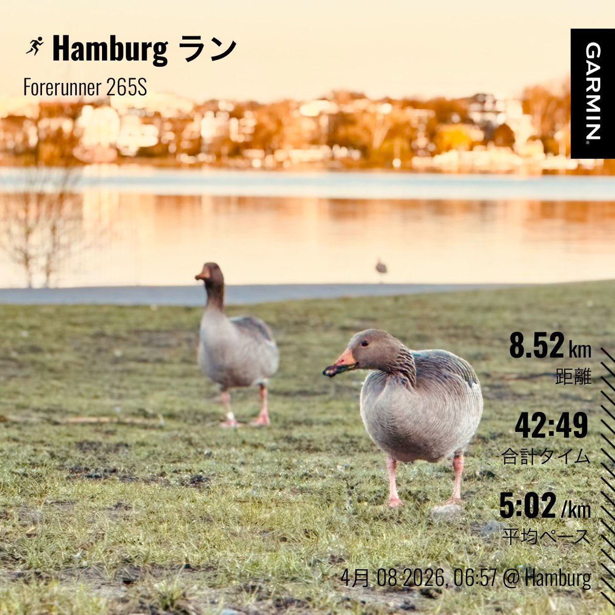 やどんらんなーSaeguSa🇩🇪@0412 パリ🇫🇷 tweet media