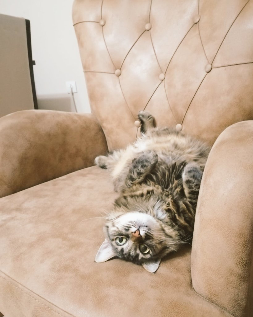 #ZeynepALPER tweet media