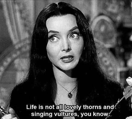 SubRosaMagick's tweet image. #WednesdayWisdom