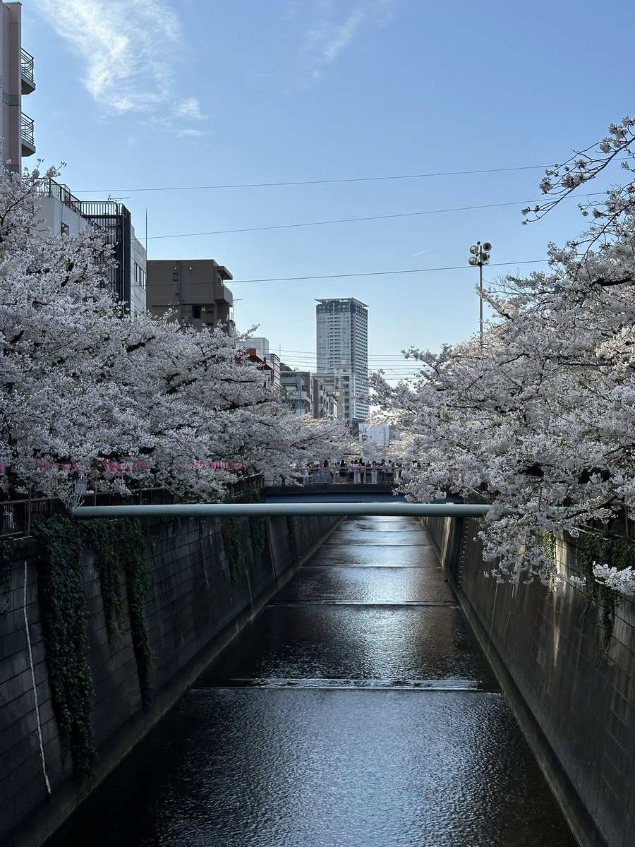 nerosore tweet media