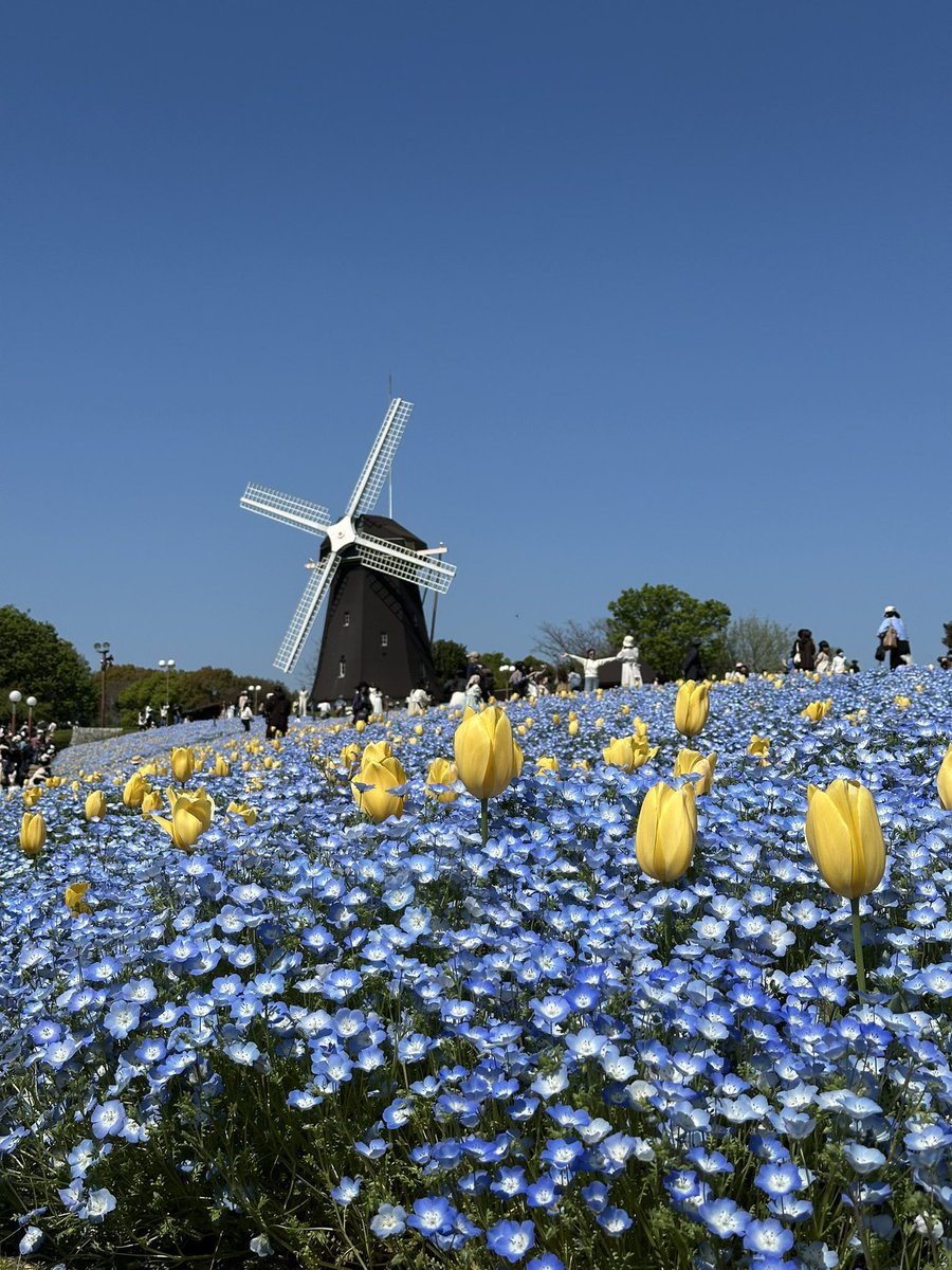 nerosore tweet media