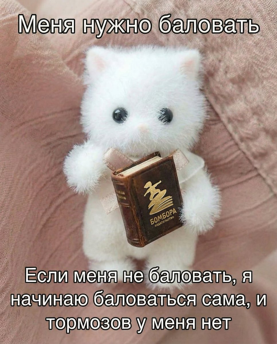 bombora.books tweet media